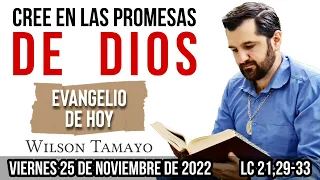 Evangelio de hoy Viernes 25 de Noviembre (Lc 21,29-33) | Wilson Tamayo | Tres Mensajes