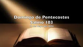 Salmo 103 - Domingo 19 de Mayo del 2024