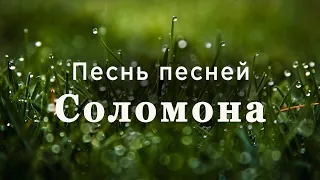 Песнь песней Соломона | Ветхий завет | Библия