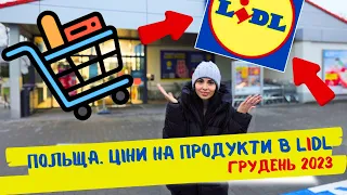 VLOG | POLAND : PRICES FOR PRODUCTS IN LIDL | DECEMBER 2023 | DETAILED PRICE OVERVIEW