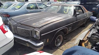 1975 Oldsmobile Cutlass Supreme Junk Yard Find