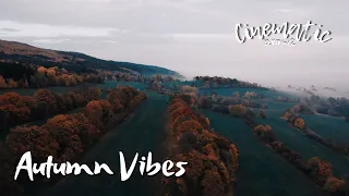 DJI MINI 2 - Cinematic 4K FOOTAGE - Autumn Vibes -Czech Republic - Vysluni - DronMove