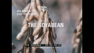 AMERICAN SOYBEAN CULTIVATION & USES OF THE SOYBEAN   1960s UNILEVER PROMO FILM XD65864