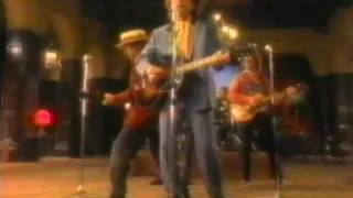 traveling wilburys She's My Baby video
