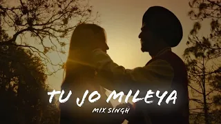 TU JO MILEYA || MIX SINGH SLOWED & REVERB || LOFI JATT