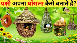 चिड़िया का घोंसला | Chidiya Ka Ghonsala | Chidiya Ghonsala Kaise Banati Hai | Amazing Birds Nest