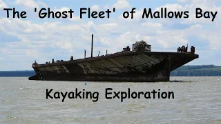 The 'Ghost Fleet' of Mallows Bay ~ Kayaking Exploration