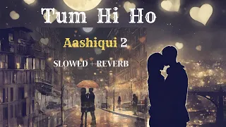 Tum Hi Ho -  (Slowed + Reverb)  / Aashiqui  2 / Ledger Vibes  / Slowed +  Reverb / Love / Romantic