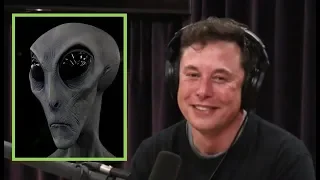 Elon Musk: "IM AN ALIEN" w/ Joe Rogan