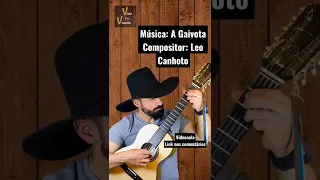 A Gaivota - Leo Canhoto e Robertinho | Viola e o Violeiro