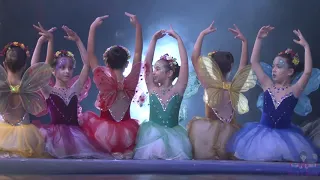 Fadas e Borboletas ballet Classico Infantil