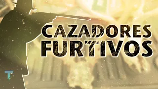 Cazadores furtivos