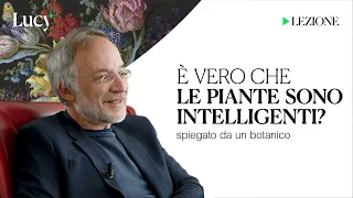 È vero che le piante sono intelligenti? La lezione di Stefano Mancuso | Lucy - Sulla cultura