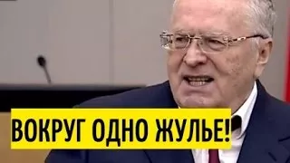 Медведев молча слушал правду от Жириновского 19.04.17