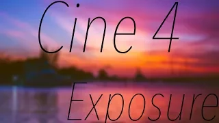 The easiest method for exposing Sony Cine4