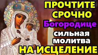 Самая Сильная Молитва Озерянской Иконе Божией Матери о помощи в праздник! Православие