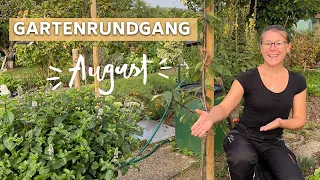 Gartenrundgang August im Gemüsegarten 🥦🥕🧅I Was gibt es Neues im Selbstversorger-Garten? Tolle Ernte!