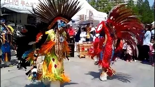 [150501] 인디언 쿠스코 공연 - 경쾌한 리듬의 곡 (고양국제꽃박람회)