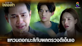 แหวนดอกมะลิกับผลตรวจดีเอ็นเอ | HIGHLIGHT ทายาทไหทองคำ EP23 | ช่อง8