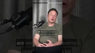 Elon Musk talks about taking Mushrooms!