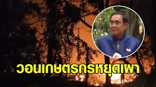 กรมควบคุมโรค ยันยังไม่ต้อง WFH หลังค่าฝุ่นสูง-นายกฯวอนเกษตรกรอย่าเผา ชี้ผิด กม.ไม่อยากทำใครเดือดร้อน