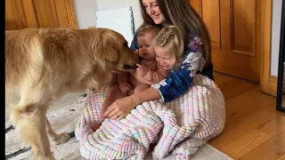 This Golden Retriever Loves His Children! Morning Routine! (Cutest Ever!!)