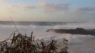 Big waves cover Shark's Cove