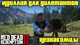 Прохождение RDR 2 на 100% - Незнакомцы - Миссия 13: Идиллия для дилетантов [Часть 2] (Глава 2)