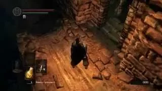 Dark Souls PtDE: Прохождение Серия 17 Катакомбы