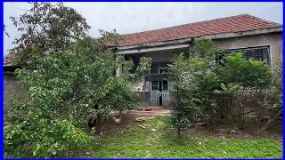 Renovating the old dilapidated house in the countryside | quantum technology 29