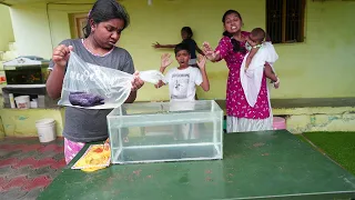 World's Dangerous Fish VAANGITTAA !!! Flower horn மீன் இறந்து போச்சு அதுக்கு பதிலா இந்த மீன் .. ABI