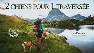 #DOCUMENTAIRE / 2 chiens pour 1 traversée, la grande traversée des Pyrénées GR10 en autonomie .