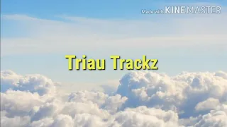 triau track vanin nuam