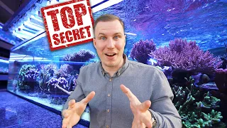 GERMANYS BEST SPS CORAL FARM?! - I found a secret aquarium shop *wow*