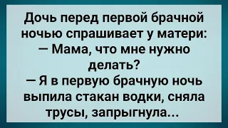 Дочь Перед Первой Брачной Ночью Спрашивает Мать! Сборник Свежих Анекдотов! Юмор!