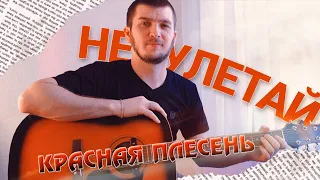 КРАСНАЯ ПЛЕСЕНЬ - "НЕ УЛЕТАЙ". Кавер на гитаре.