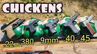 Pistols vs Chickens .22LR .380 9mm .40S&W .45ACP