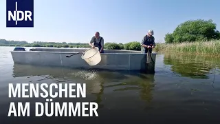 Seegeschichten vom Dümmer | die nordstory | NDR Doku