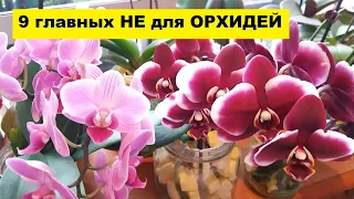 9 ГЛАВНЫХ "НЕ ДЕЛАТЬ" ДЛЯ ОРХИДЕЙ