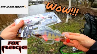 Trying Fox rage Perch replicant  and Savage Gear Pulsetail koi Roach for the first time