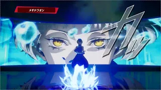 【P3R】エリザベス Lunatic 33ターン NoDLC+Noオルフェウス改　攻撃回数7回