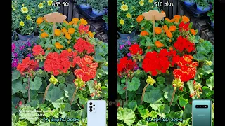 Galaxy A53 5G vs Galaxy S10 plus camera test comparison. Old flagship beast beating new mid ranger?