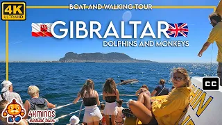 GIBRALTAR Dolphins & Monkeys - 4K (Ultra HD) Walking Virtual Tour UK (2022)