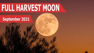 Watch Live |Full Harvest Moon 2021 | September 2021