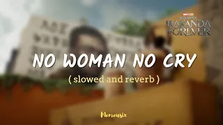 No Woman No Cry ( Slowed and Reverb ) - Tems || Black Panther: Wakanda Forever Prologue