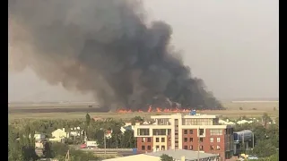 Лесные пожары в Ростовской области. 3 сентября 2020 года