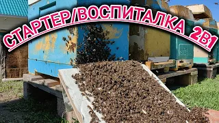 Формируем Стартеры для вывода маток