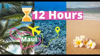 Things to Do MAUI | Itinerary Ideas | ISLAND HOP