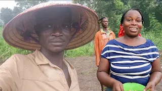 Gia đình châu Phi thuận lợi xuống lượng lớn giống cây trồng|| 2Q Vlogs Cuộc Sống Châu Phi