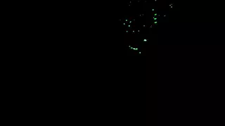 Лазерный фонарь светит ночью на дерево